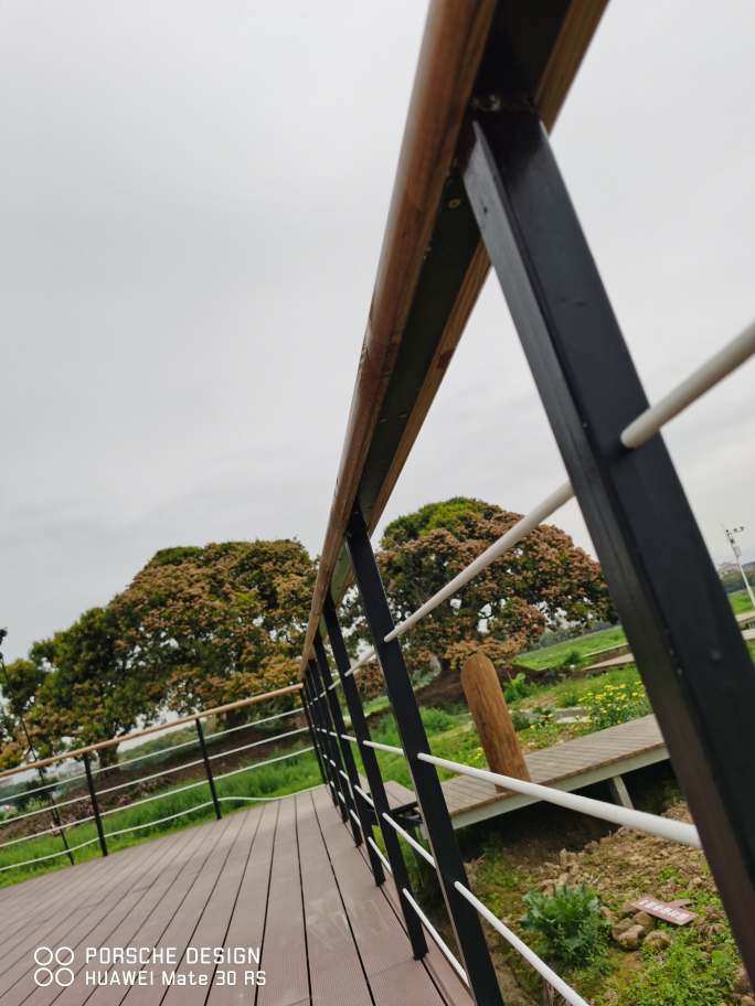膜结构体育场看台：未来体育场馆的设计趋势-2