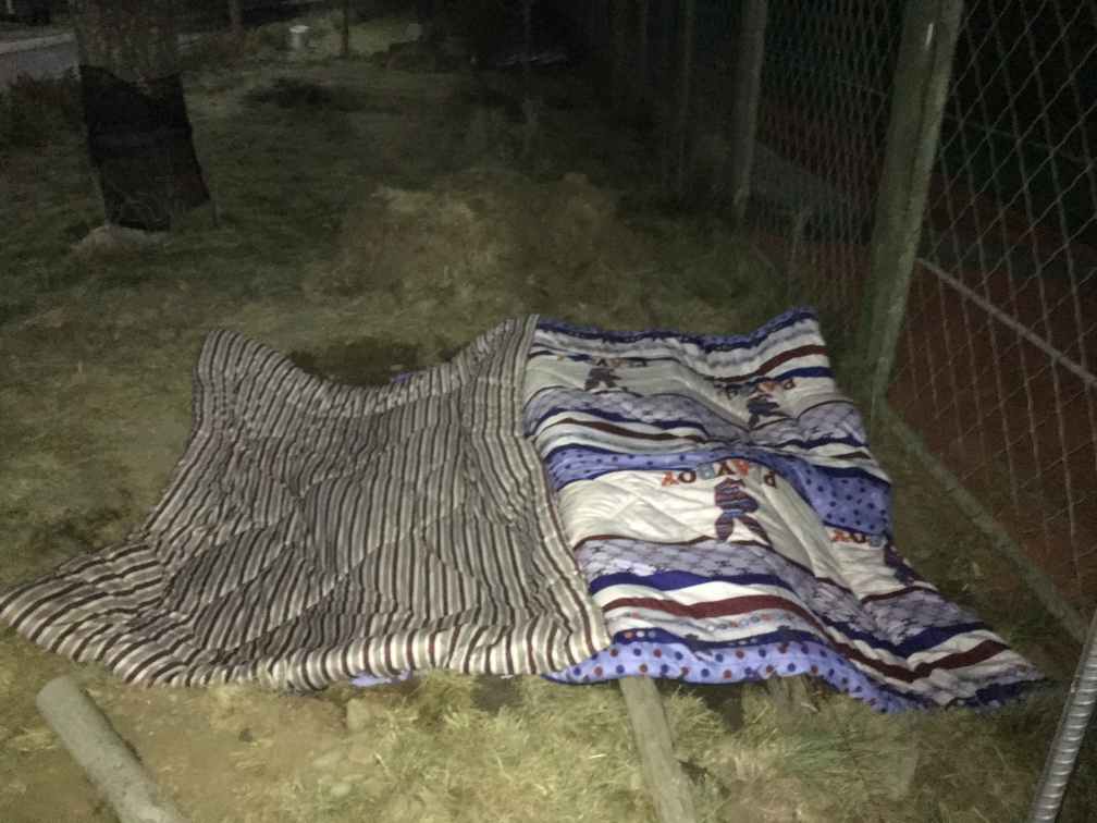 网球场雨棚多少钱?-3