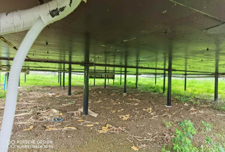 福建膜结构体育看台的设计与应用-2